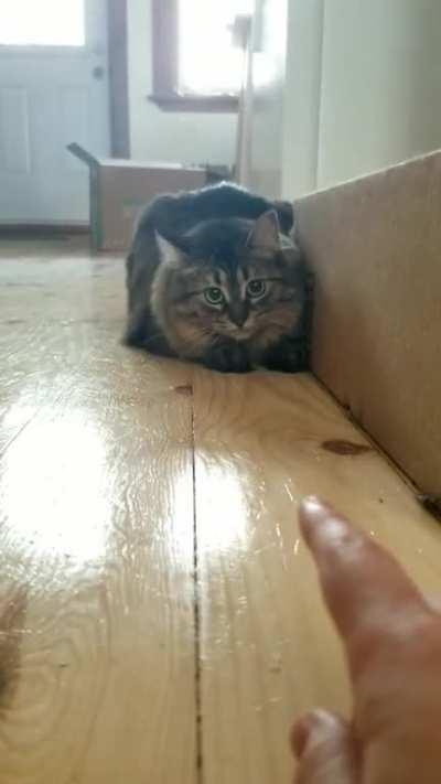 She's had enough of my shit