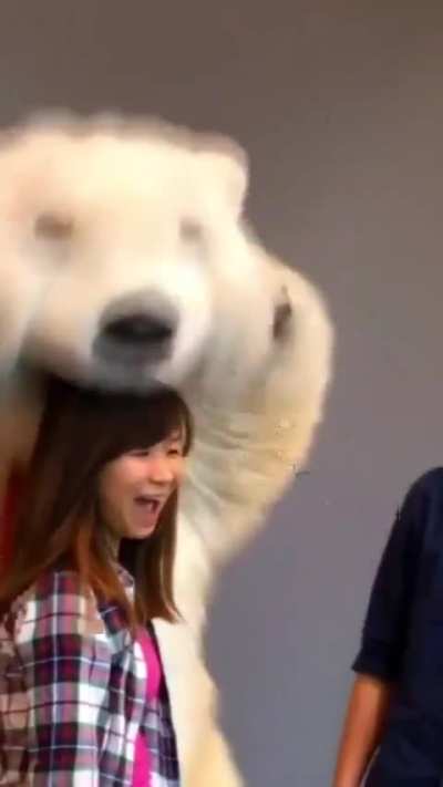 Funniest Mascot Ever