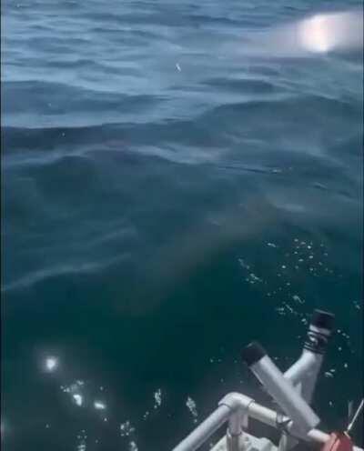 Ryder’s here for a good time not for a long time