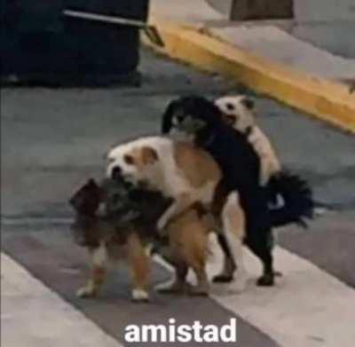 Amistad