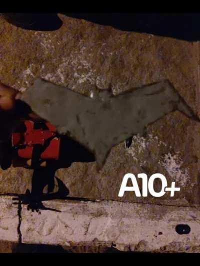 literalmente eu (justiceiro de parnaiba)