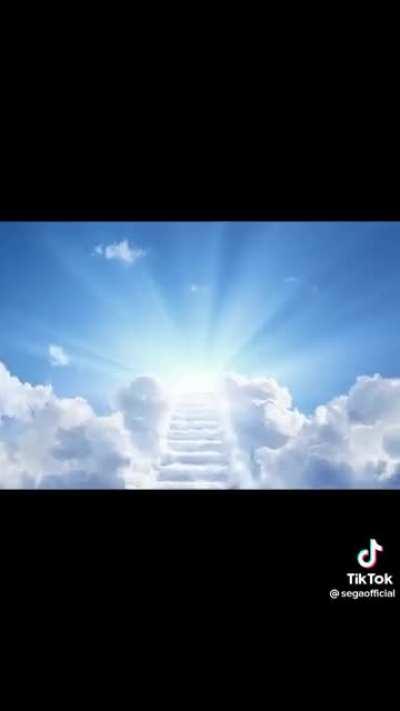 SEGA making great memes