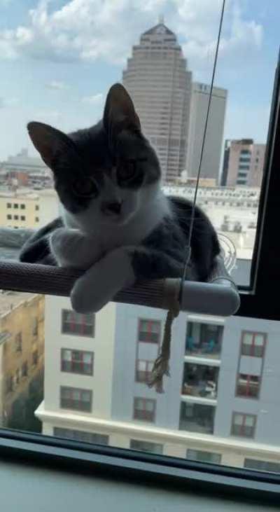 POV: You are being slapped by a cat.