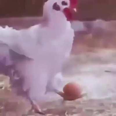 Tottenham presents a new player