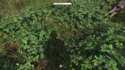 [KCD2] trying to do my lent achievement and this happens