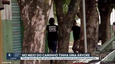 Dupla algemada tenta fugir da polícia e bate em árvore