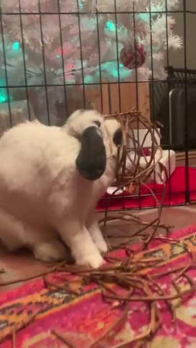 Oh, help and bother! I’m stuck.