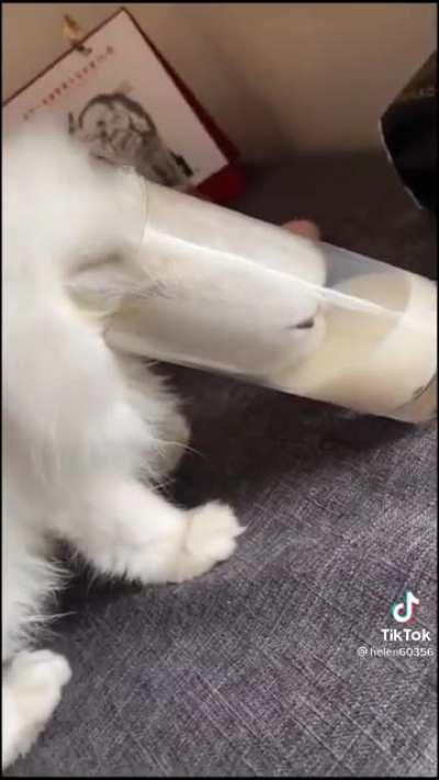 To obtain the liquid, he must become liquid