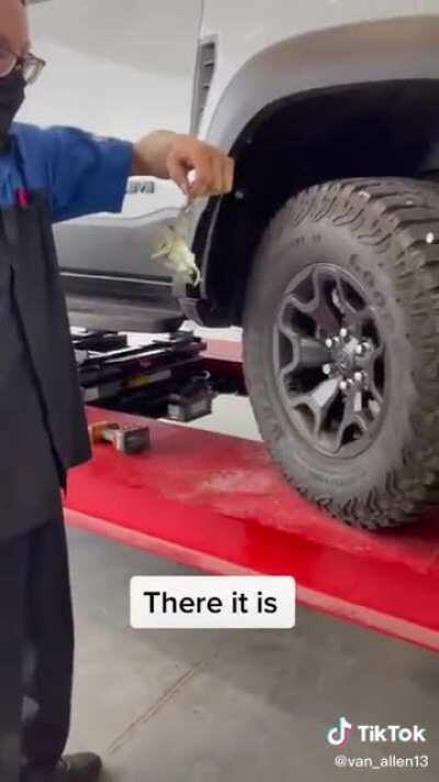 Little bird makes a house out of a truck