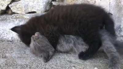 I'm gonna bite you so bad!