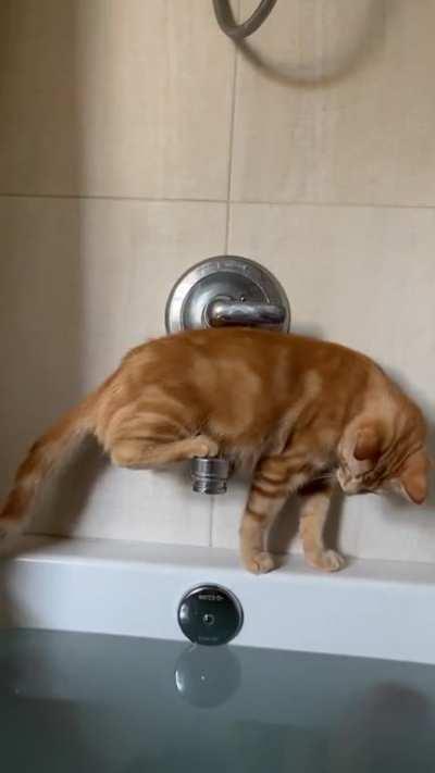 You already know how this story ends..