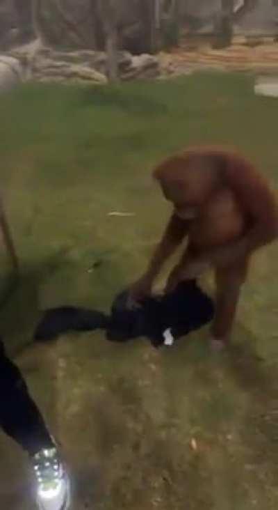 YOOOO HE GOT THE DRIP