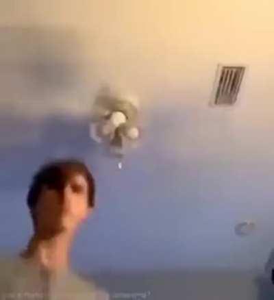 POV: Bullit welcomes you to the Colony