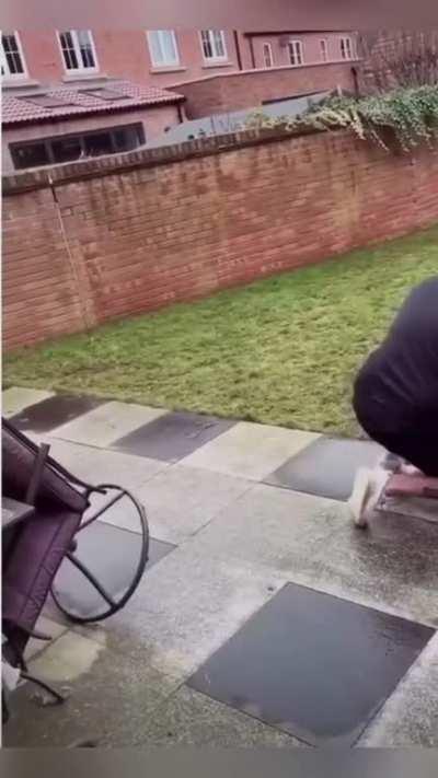 Tiny Puppy vs New Fence