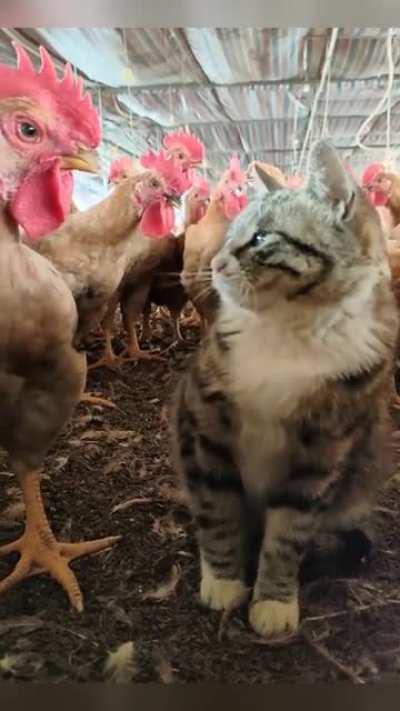 First day in school.. new school 😁😁