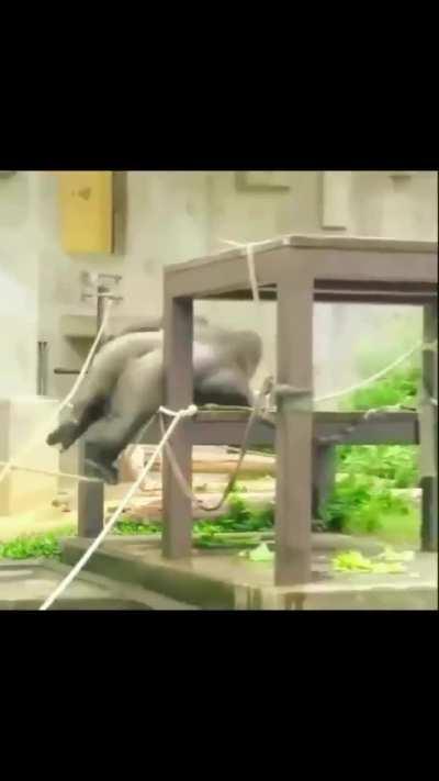 Us adults nothing but sum grown kids Lmao