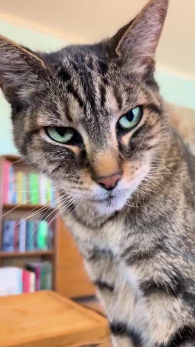 Black beans on the menu