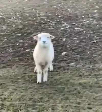 Did you take the picture? Do I look good