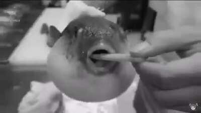 It’s my cake day. Enjoy this.