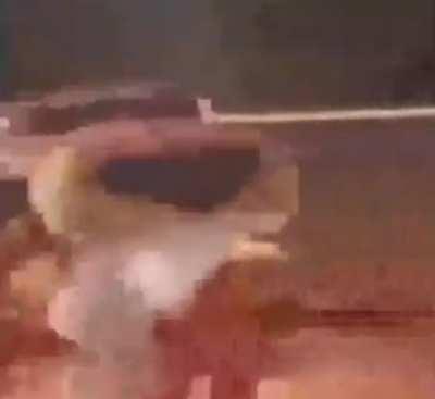 Connection terminated💀