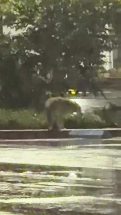 What’s with the “Imma lay here for a minute” scene 😂