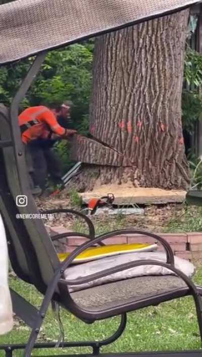 Yes, and it's as bad as you imagined