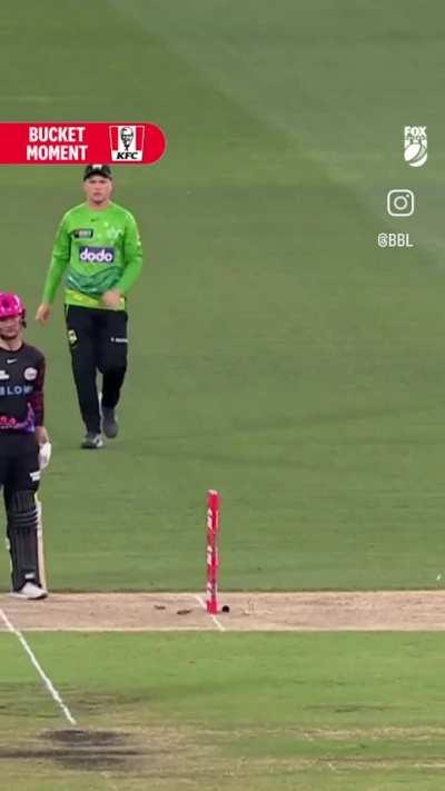 Third umpire shitposting 