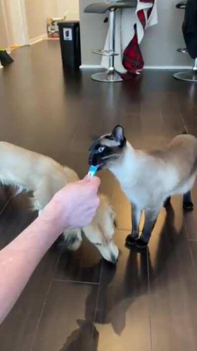 They still love each other😂