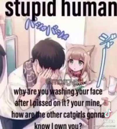 my 14th 15th and 16th reason why