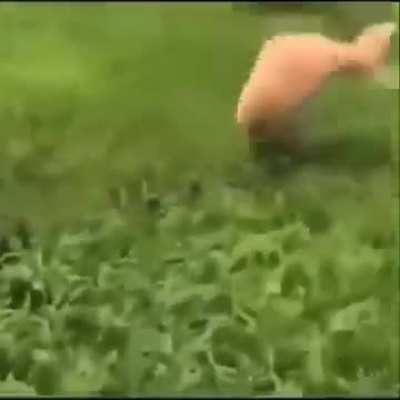 Eu e meu amigo todo dia na escola