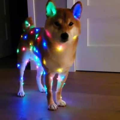 Christmas is on the way here!