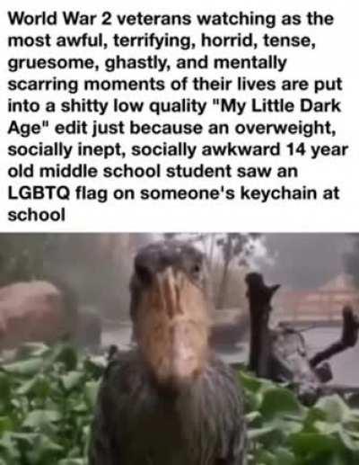 how far gone is this sub? lets find out