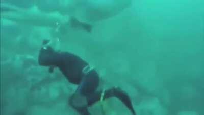 Fuck you I'm a pacifist