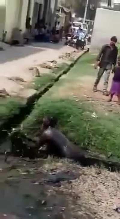 WTF is happening here?