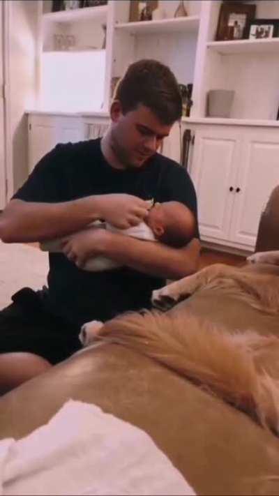 To take the kid away from dog