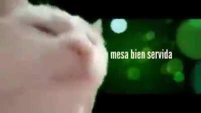 You know christmas is coming to Guate when...