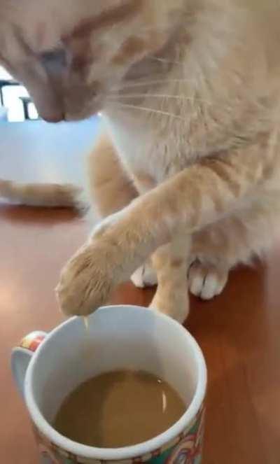 He dosen't know why he did it either.