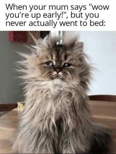 Sleep is for the weak