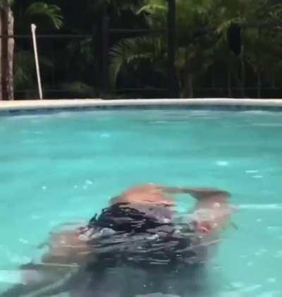 Nature's hair extensions