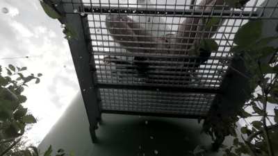 The staircase is perfect for us