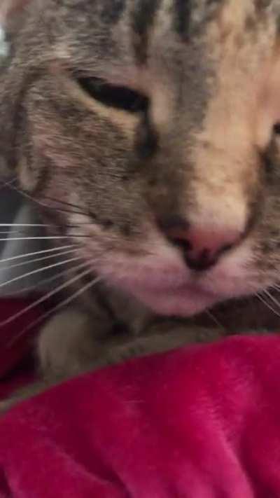 Supplemental Serotonin for the day