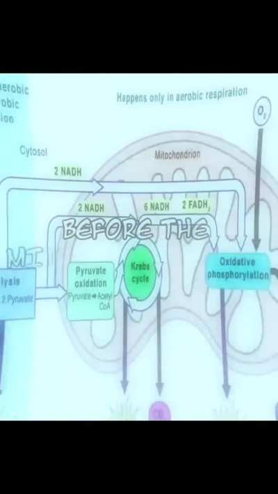 aap logo ne notice kiya hoga har passing day ke saath gand aur fat te ja rhi hai