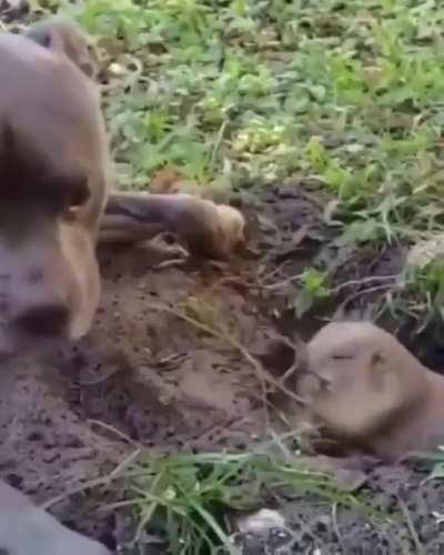 When you're trying to get some work done and your friend keeps bothering you