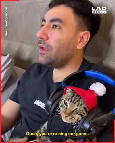 Best cat dad 😂 🐱