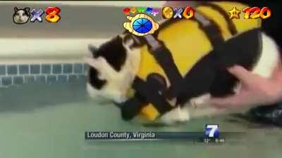 gato nadando con musica de agua super mario 64