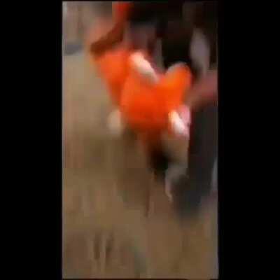 por fin muerte al furro