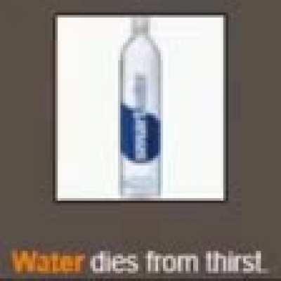 Does anyone know the song in this meme?