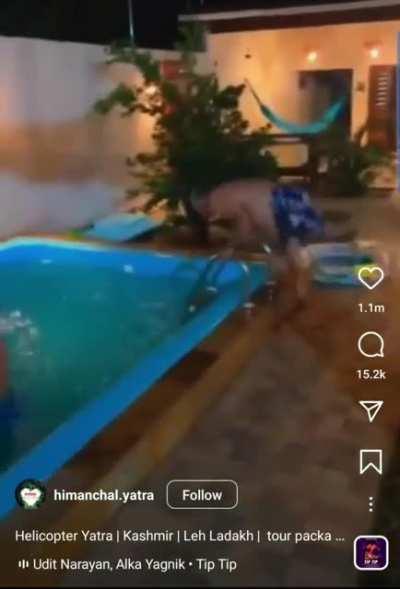 damn dude probably broke his back