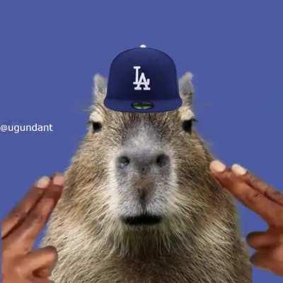 Rapybaras (yes i made every single one of them)