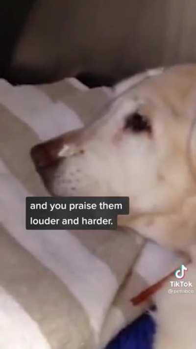 Probably the saddest tik tok I’ve ever seen